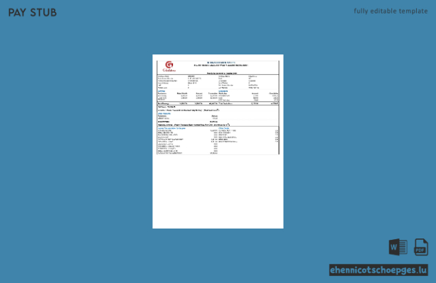 Gehaltsabrechnungsbeispiel von India Globiva Services PVT LTD
